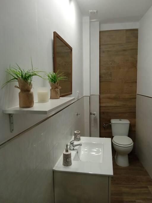 Vivienda Rural Sentirte 2 Centro De Aracenaアパートメント エクステリア 写真